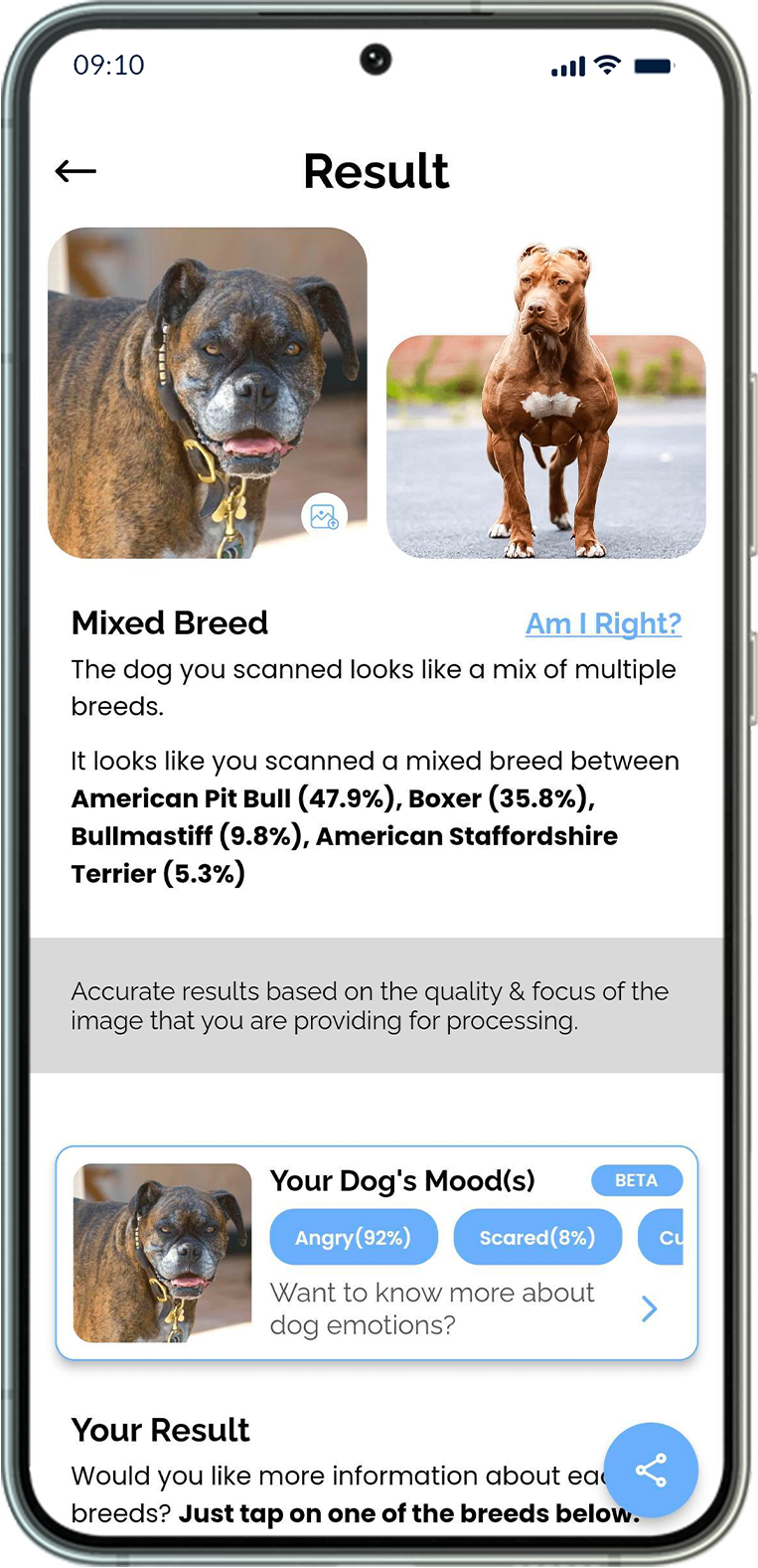 Best Dog Breed Identification App Dog Identifier