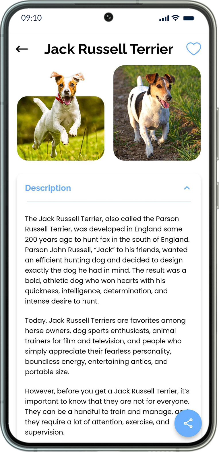 Best Dog Breed Identification App Dog Identifier